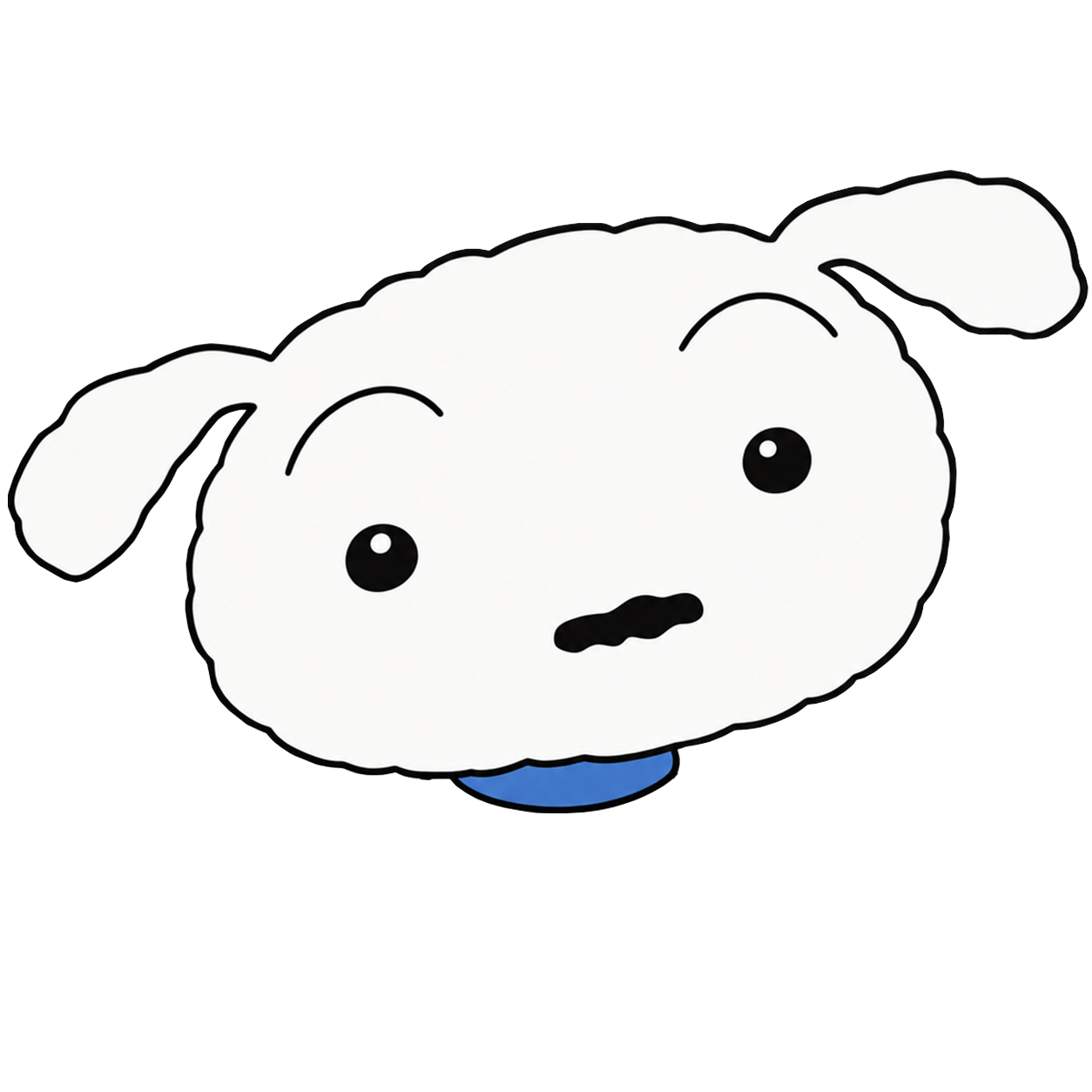 Shiro, a white puppy with a blue collar